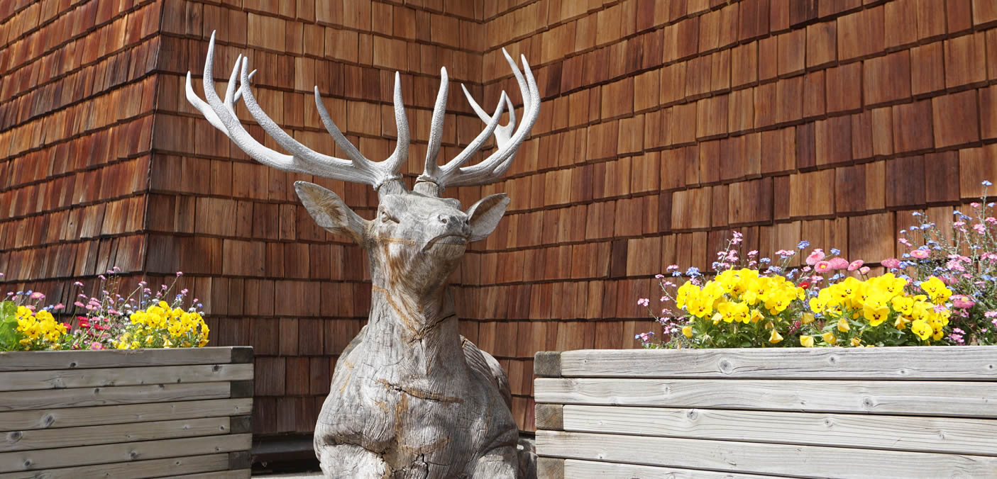 Dekoration Hirsch im Hotel Josef im Salzburger Land